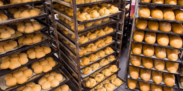 製パン工場におけるパン作りの工程を詳しく解説！
