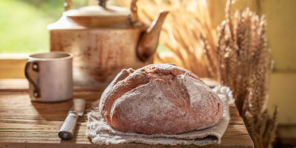 日本にパンが伝来したのはいつ？パン誕生の歴史を徹底調査