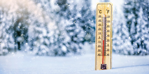 冬のパン作りでも適切な温度管理を可能にするプルファーの重要性