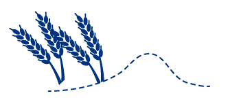 フィンランドのパン作りのポイント
